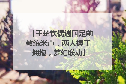 王楚钦偶遇国足前教练米卢，两人握手拥抱，梦幻联动
