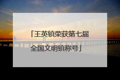 王英镇荣获第七届全国文明镇称号