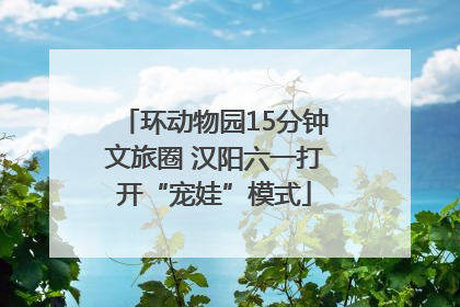 环动物园15分钟文旅圈 汉阳六一打开“宠娃”模式