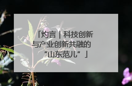 灼言｜科技创新与产业创新共融的“山东范儿”