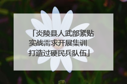 炎陵县人武部紧贴实战需求开展集训 打造过硬民兵队伍