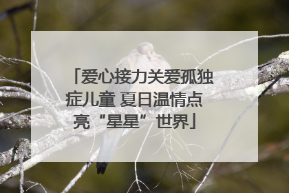 爱心接力关爱孤独症儿童 夏日温情点亮“星星”世界