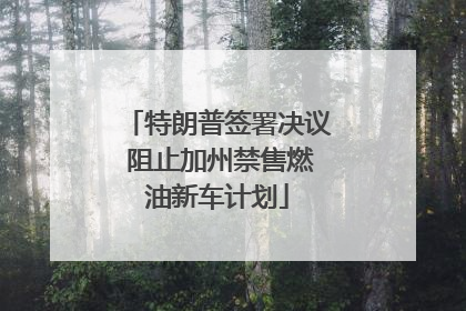 特朗普签署决议 阻止加州禁售燃油新车计划