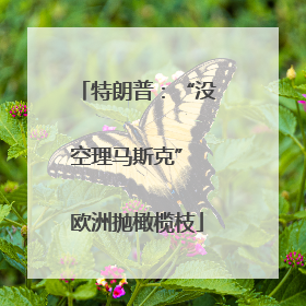特朗普：“没空理马斯克” 欧洲抛橄榄枝
