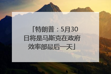 特朗普：5月30日将是马斯克在政府效率部最后一天