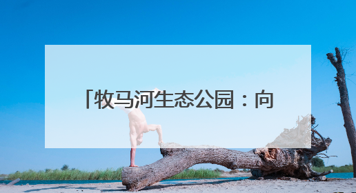 牧马河生态公园：向绿而行 向新而生