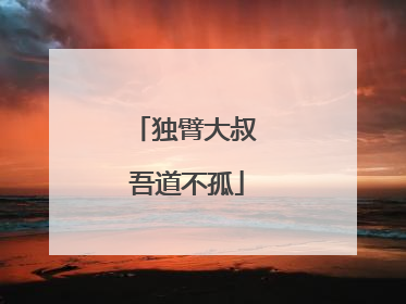 独臂大叔 吾道不孤