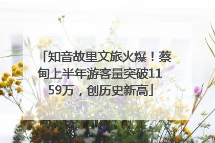 知音故里文旅火爆！蔡甸上半年游客量突破1159万，创历史新高