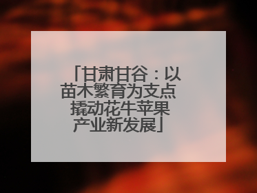 甘肃甘谷：以苗木繁育为支点 撬动花牛苹果产业新发展