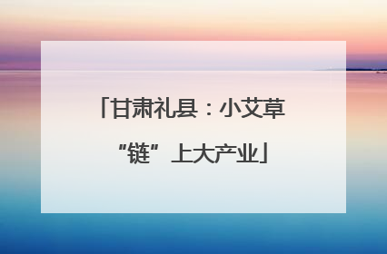 甘肃礼县：小艾草“链”上大产业