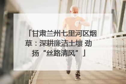 甘肃兰州七里河区烟草：深耕廉洁土壤 劲扬“丝路清风”