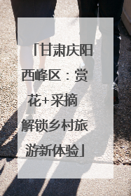 甘肃庆阳西峰区：赏花+采摘 解锁乡村旅游新体验