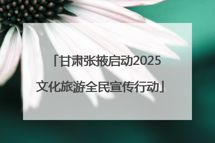甘肃张掖启动2025文化旅游全民宣传行动