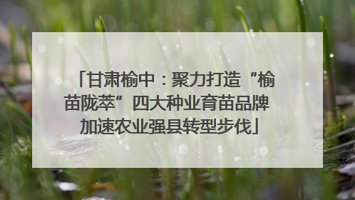 甘肃榆中：聚力打造“榆苗陇萃”四大种业育苗品牌 加速农业强县转型步伐
