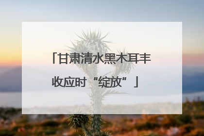 甘肃清水黑木耳丰收应时“绽放”