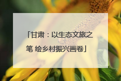 甘肃：以生态文旅之笔 绘乡村振兴画卷
