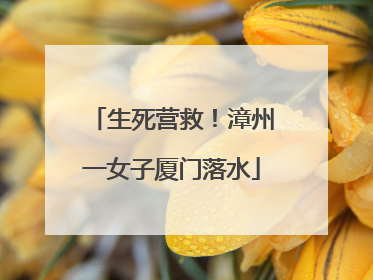 生死营救！漳州一女子厦门落水