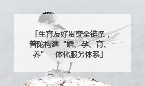 生育友好贯穿全链条，普陀构建“婚、孕、育、养”一体化服务体系