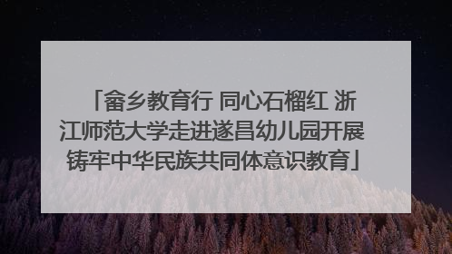 畲乡教育行 同心石榴红 浙江师范大学走进遂昌幼儿园开展铸牢中华民族共同体意识教育