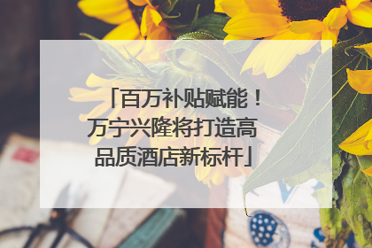 百万补贴赋能！万宁兴隆将打造高品质酒店新标杆