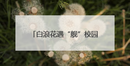 白浪花遇“舰”校园青 长沙舰官兵返乡宣讲点燃学子报国热情
