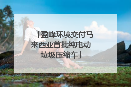 盈峰环境交付马来西亚首批纯电动垃圾压缩车