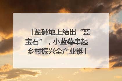 盐碱地上结出“蓝宝石”，小蓝莓串起乡村振兴全产业链