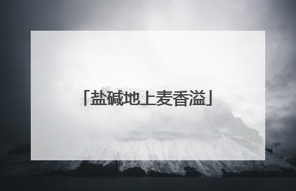 盐碱地上麦香溢