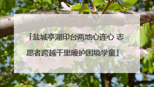 盐城亭湖印台两地心连心 志愿者跨越千里暖护困境学童