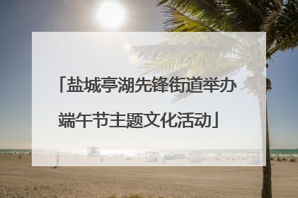 盐城亭湖先锋街道举办端午节主题文化活动