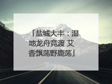 盐城大丰：湿地龙舟竞渡 艾香飘荡野鹿荡