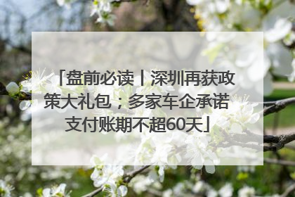 盘前必读丨深圳再获政策大礼包；多家车企承诺支付账期不超60天