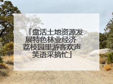 盘活土地资源发展特色林业经济 荔枝园里游客欢声笑语采摘忙