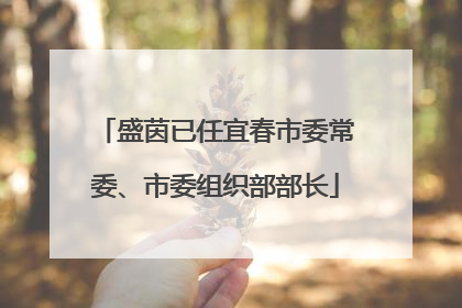 盛茵已任宜春市委常委、市委组织部部长
