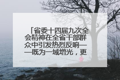 省委十四届九次全会精神在全省干部群众中引发热烈反响——既为一域增光，更为全局添彩