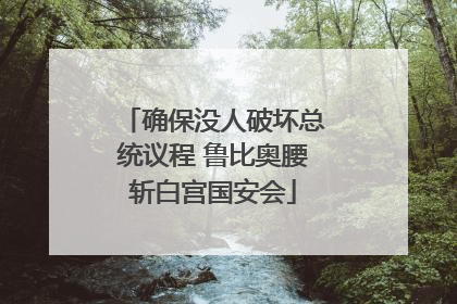 确保没人破坏总统议程 鲁比奥腰斩白宫国安会
