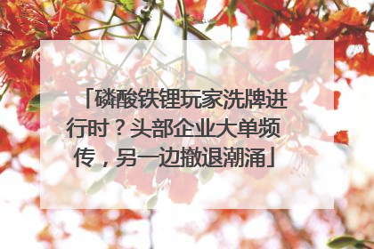 磷酸铁锂玩家洗牌进行时？头部企业大单频传，另一边撤退潮涌