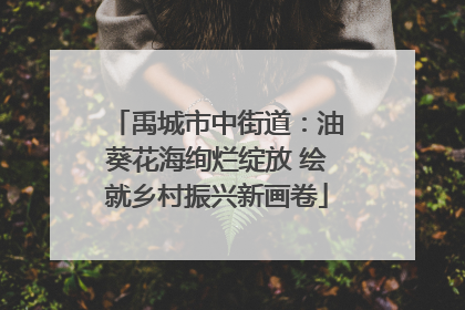 禹城市中街道：油葵花海绚烂绽放 绘就乡村振兴新画卷