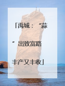 禹城：“蒜”出致富路 丰产又丰收