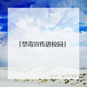 禁毒宣传进校园
