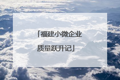 福建小微企业质量跃升记