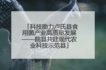 科技助力卢氏县食用菌产业高质量发展——院县共建现代农业科技示范县