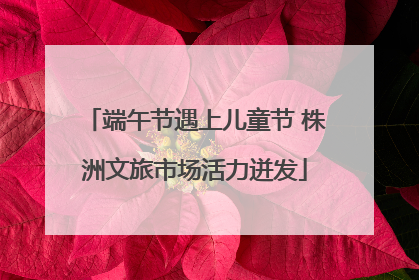 端午节遇上儿童节 株洲文旅市场活力迸发