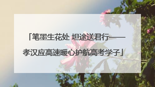 笔墨生花处 坦途送君行——孝汉应高速暖心护航高考学子
