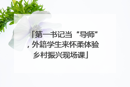 第一书记当“导师”，外籍学生来怀柔体验乡村振兴现场课
