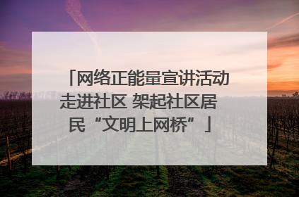 网络正能量宣讲活动走进社区 架起社区居民“文明上网桥”
