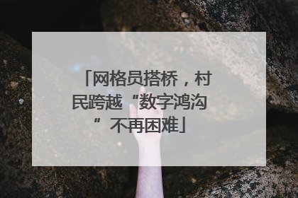 网格员搭桥，村民跨越“数字鸿沟”不再困难