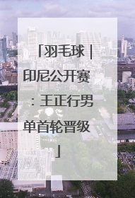 羽毛球｜印尼公开赛：王正行男单首轮晋级
