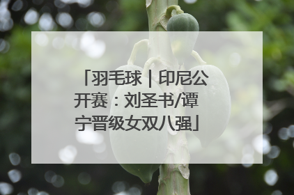 羽毛球｜印尼公开赛：刘圣书/谭宁晋级女双八强