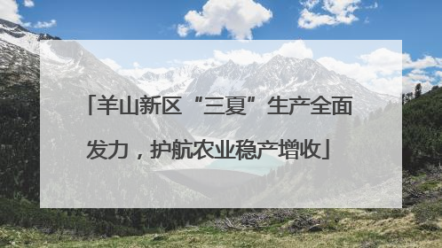羊山新区“三夏”生产全面发力，护航农业稳产增收